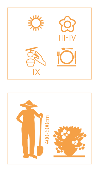 00029