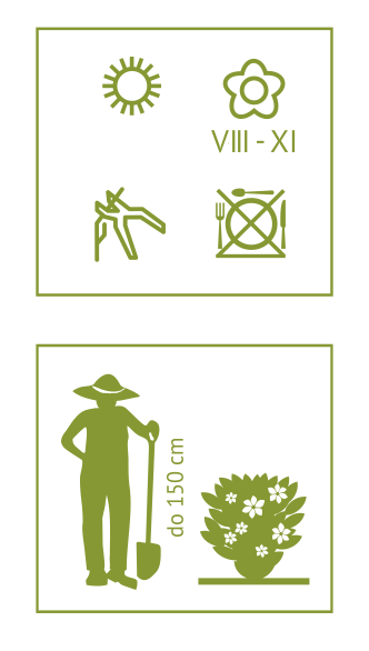 6101