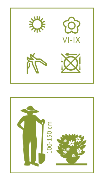 8630