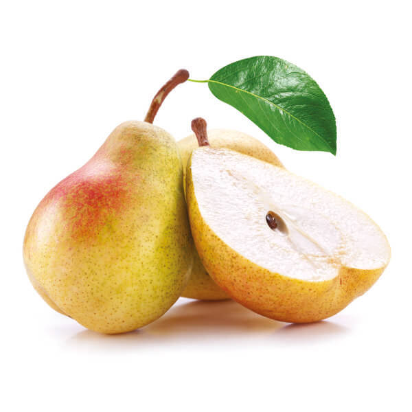  Brzoskwinia Prunus persica "Reliance"