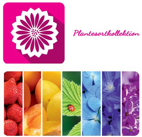 PLANTESORTKOLLEKTION