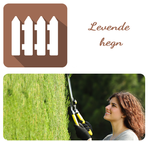LEVENDE HEGN