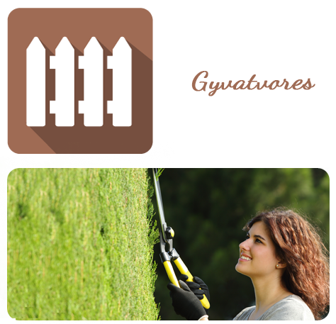 GYVATVORĖS