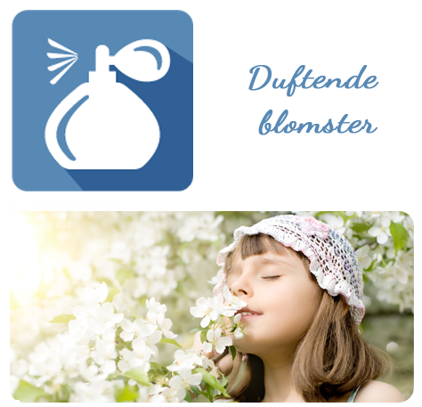 DUFTENDE BLOMSTER